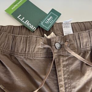 L.L. Bean Insulated Pants